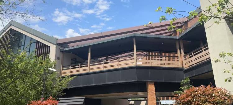 上海百万石温泉酒店(比斯特购物村店)图片