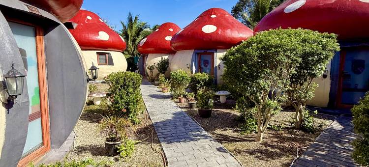 蘑菇里民宿(中文管家,免费镇上/码头阿尔法接送,海鲜加工)(Mushrooms Inn)图片
