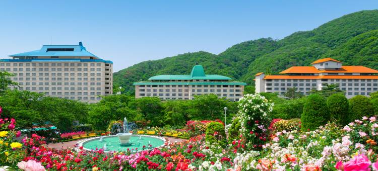花卷酒店(Hotel Hanamaki)图片
