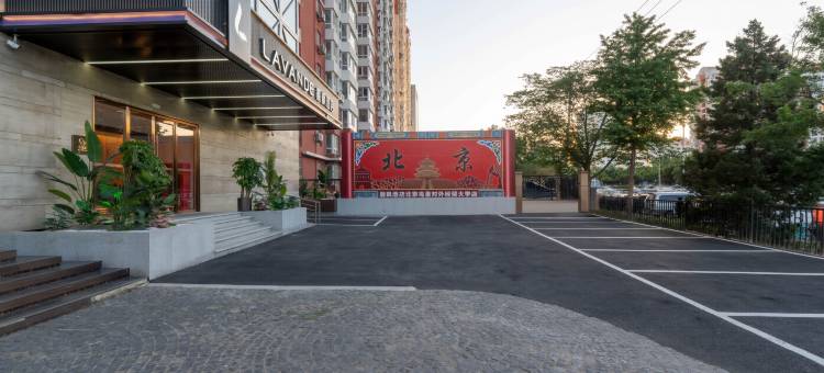 麗枫酒店(北京鸟巢对外经贸大学店)图片