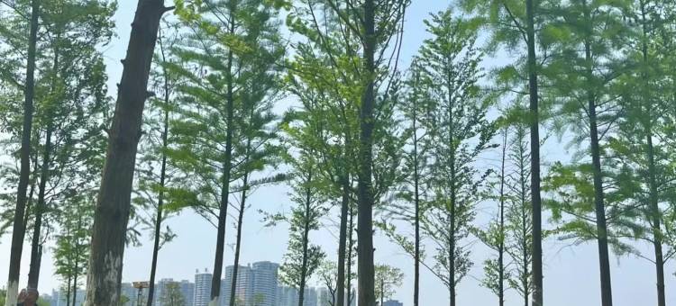 君屿酒店(衡阳祝融路市一中店)图片