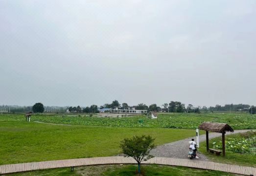 Feixi Changzhuang HeyuanHotel Overview