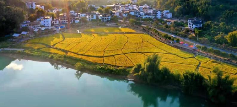 广州稻喜湾温泉民宿图片