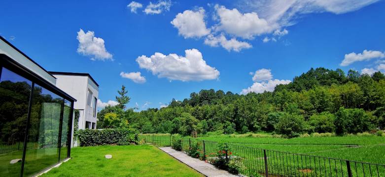 黄山休宁田居里艺术度假村Villa Hotel图片