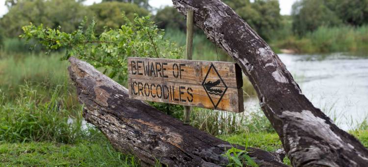 Sian-Simba-River-Lodge图片