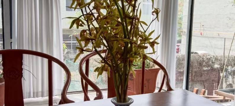 洛阳·兰轩休闲度假Villa美宿(龙门石窟风景区店)图片