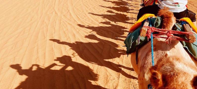 中卫漠野沙海露营地图片