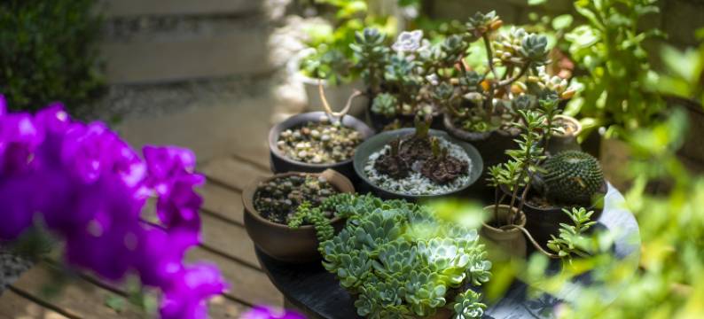 丽江有光小院(束河古镇店)图片