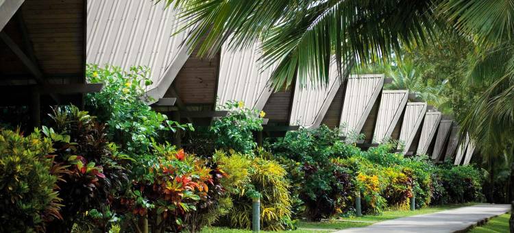 棕榈木屋(Palm Bungalows)图片