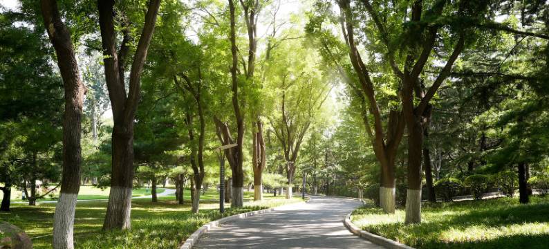 北京杏林山庄图片
