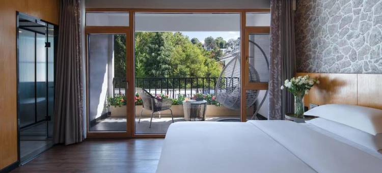 时间里丨临溪森氧雪山观景Holiday Hotel(丽江古城大水车店)图片