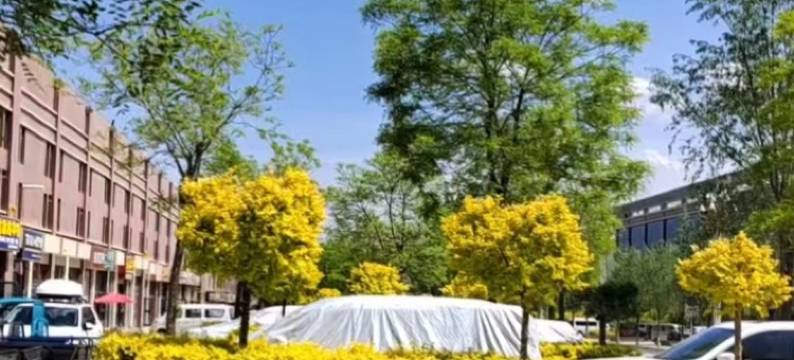 互助永存家庭宾馆图片