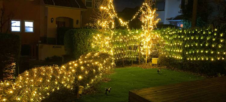 伊豆高原-寛道雅宿KANDO-(Izu Kogen Terrace - Kando -)图片