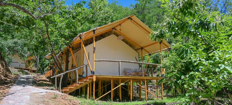 园也村宿集·山谷露营地图片