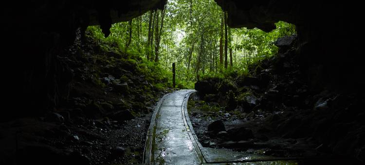 姆鲁万豪度假酒店(Mulu Marriott Resort & Spa)图片