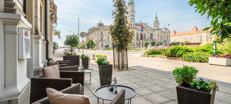 多瑙比斯-拉巴酒店(Danubius Hotel Raba)图片