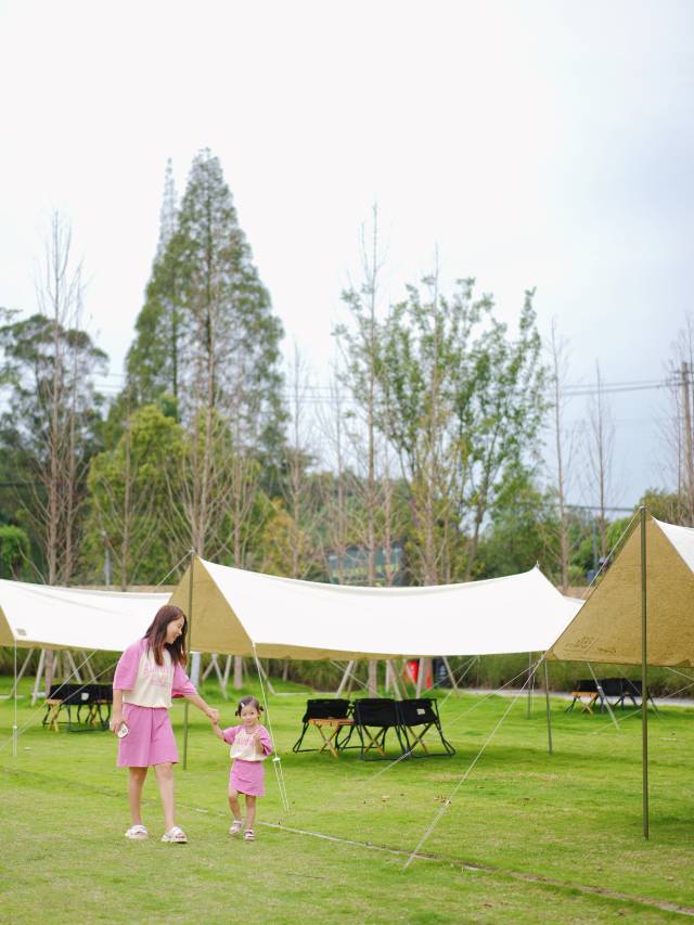 成都温江悦椿酒店图片