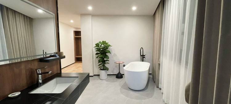 大新伴山庭酒店图片