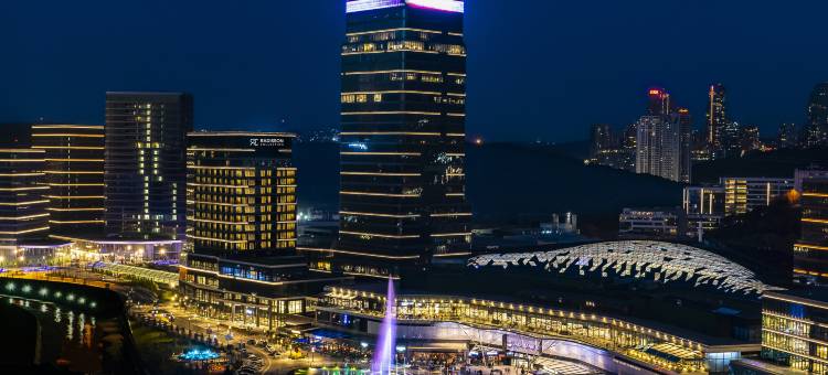 瓦迪斯坦布尔丽笙精选酒店(Radisson Collection Hotel Vadistanbul)图片