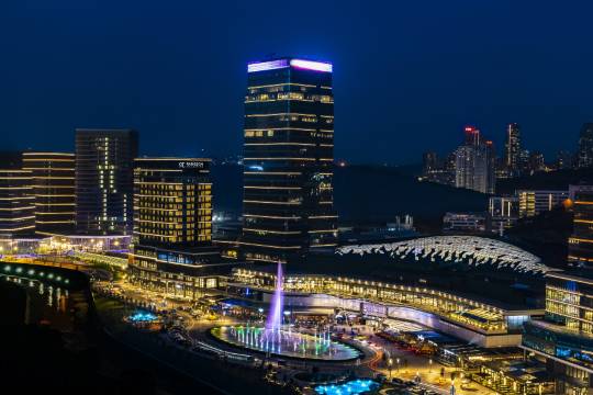 瓦迪斯坦布爾麗笙精選酒店