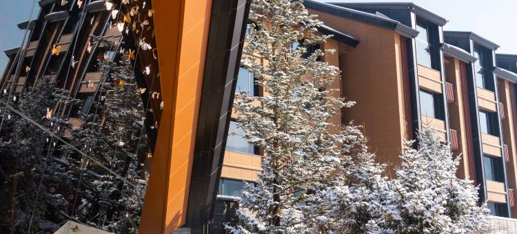 风华公寓(吉林万科松花湖度假区店)图片