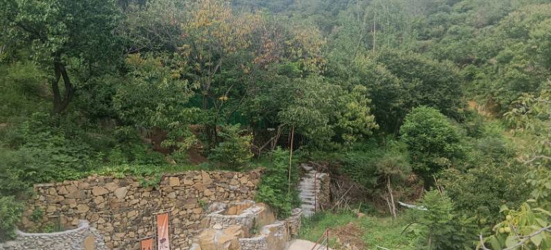 仙泉山庄民宿图片