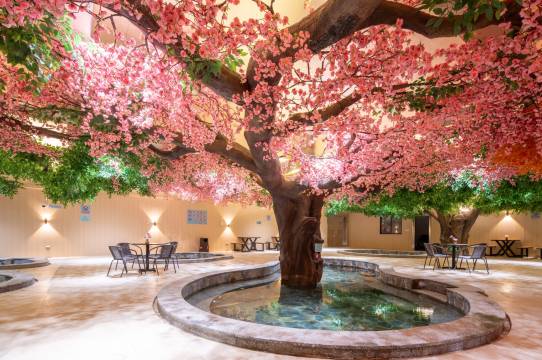 清远笔架山居图片