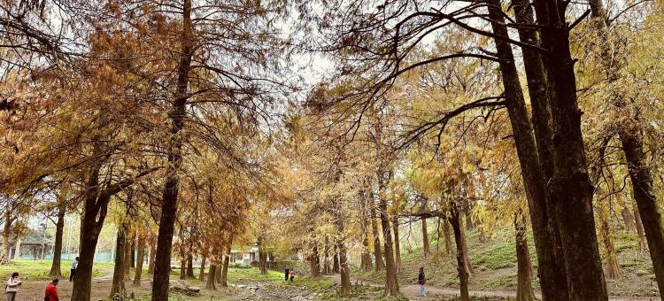 宜蘭羅東公園61號图片