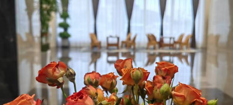 柏纳S酒店(伊犁新源开元美食广场店)图片