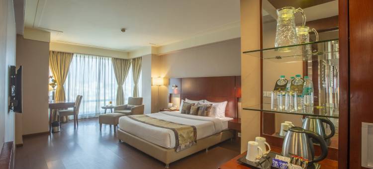 灶神星国际酒店(Vesta International)图片