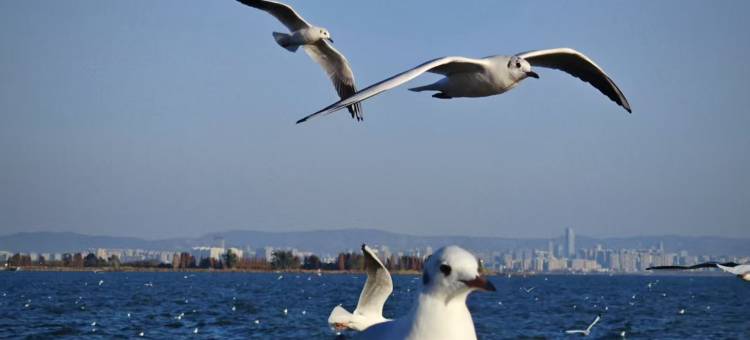 汉庭酒店(昆明双桥夜市风情街店)图片