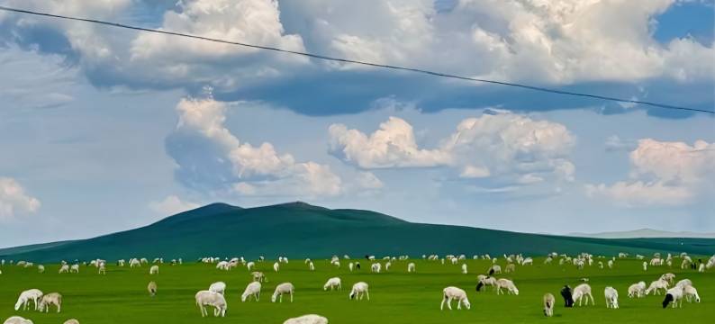 黑山头有间小院图片