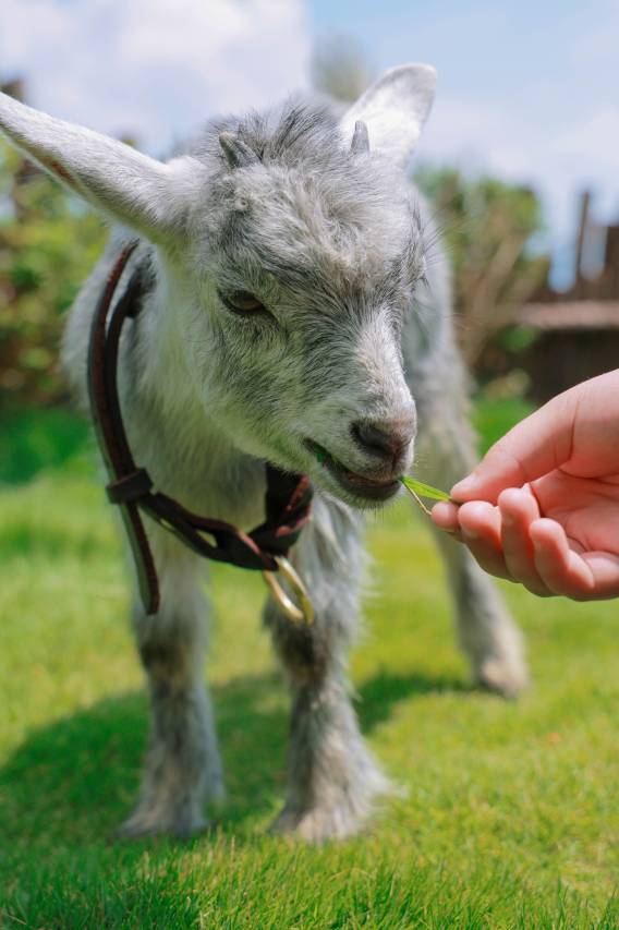 大理无二隐舍·VILLA半山海景民宿 (洱海店)图片
