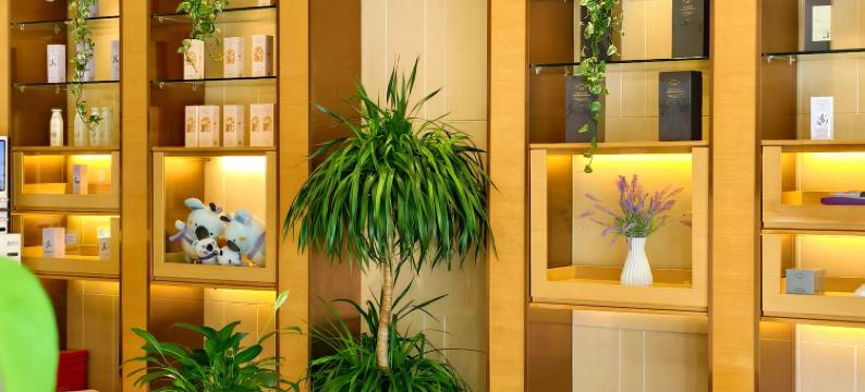 麗枫酒店(重庆龙头寺火车北站店)图片