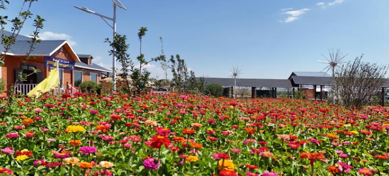 昭苏马场驿站图片