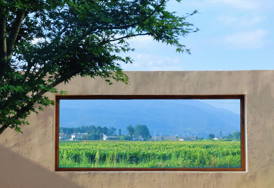 Shaxi Qingye Holiday Homestay over view