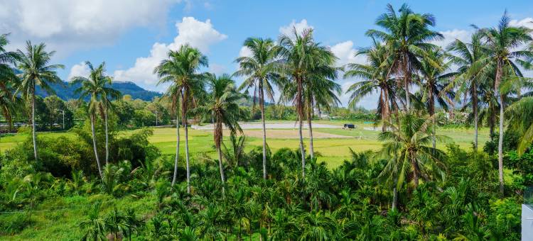 花筑·风眠处民宿(陵水店)图片