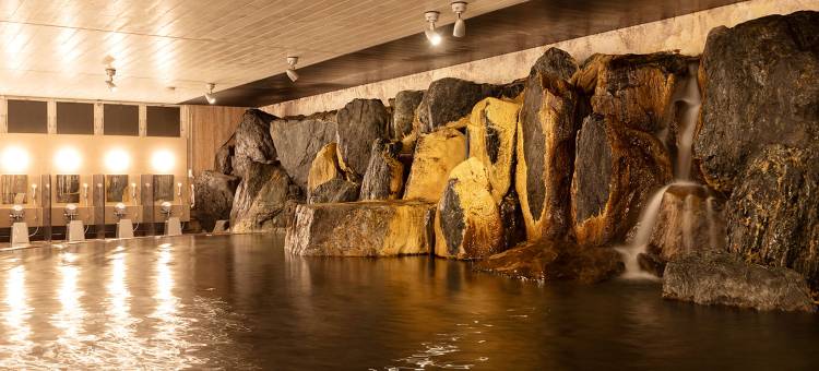 大江户温泉物语高级 新盐原酒店(Ooedo Onsen Monogatari Premium Hotel New Shiobara)图片