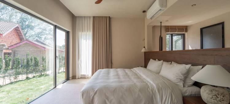 自在小院柿子图片