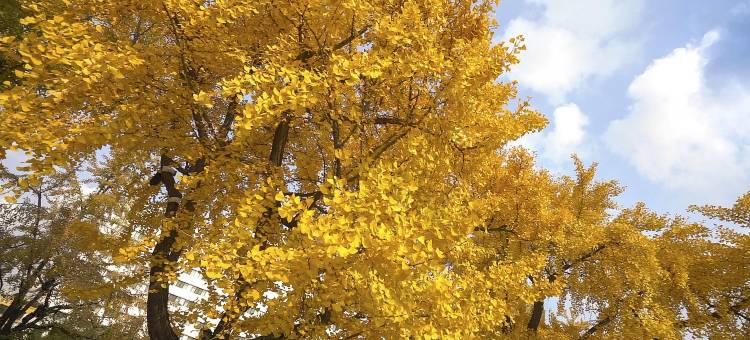 丹东明珠酒店图片