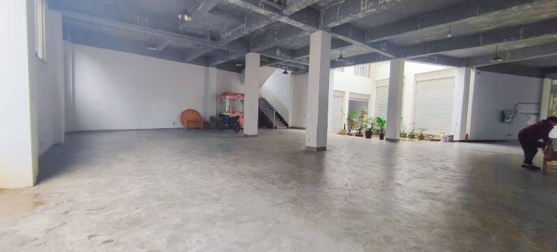 芦山姜城熊猫酒店图片