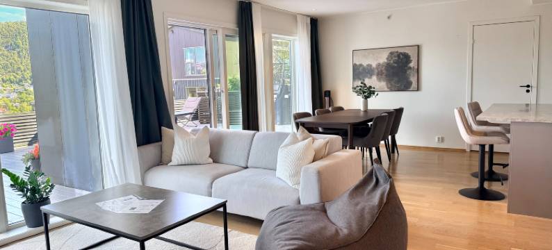 Large luxurious apartment with private terrace and parking图片