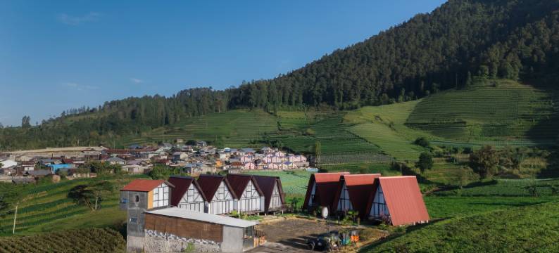迪恩格塞里亚度假村(DIENG CERIA RESORT)图片