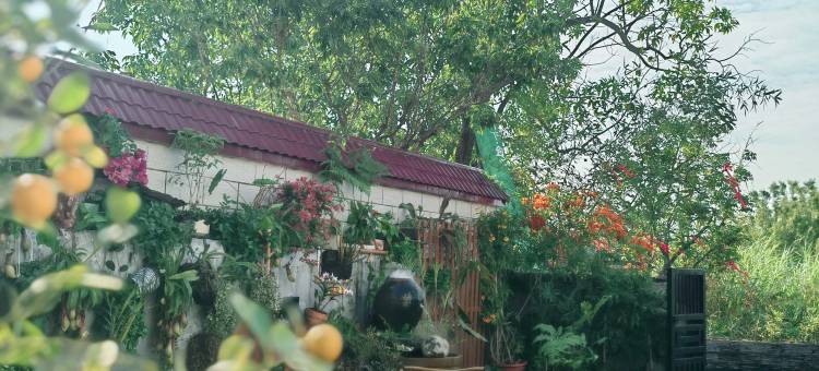 愈见宿集·旗溪图片