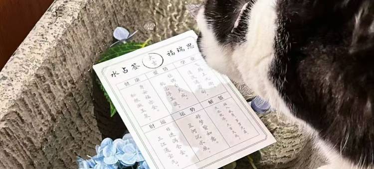 福瑞思Forest·海景酒店(国际海水浴场山东大学店)图片