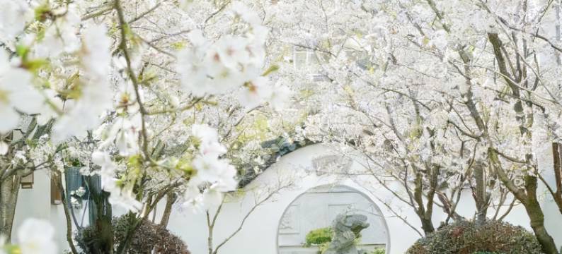 嘉兴芦席汇开元观堂酒店(南湖店)图片