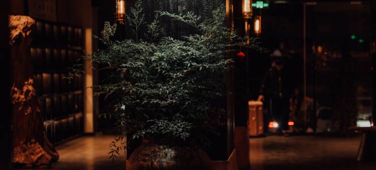 珩邸•古道神泉文化酒店(丽江古城大水车店)图片