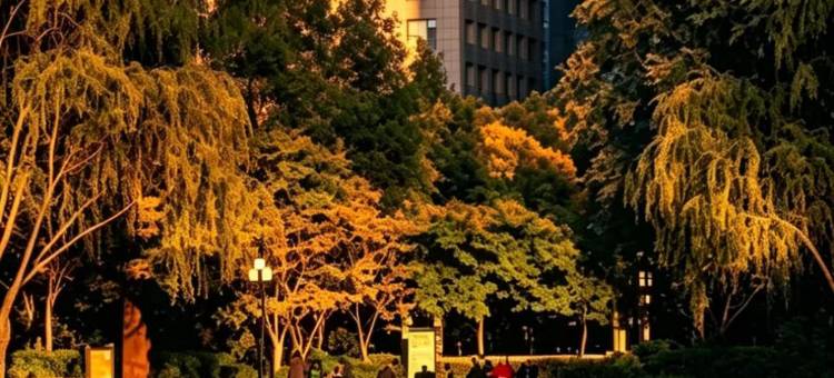 太原晋阳希尔顿欢朋酒店图片