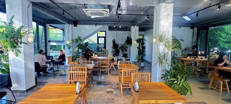 上海隐墅●Lunas Villa庭院花园度假民宿(上海国际旅游度假区店)图片