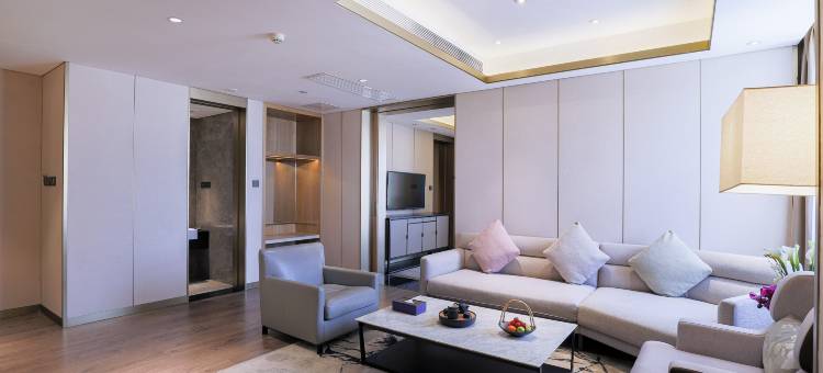 南宁天龙湾璞悦酒店(会展中心万象城店)图片